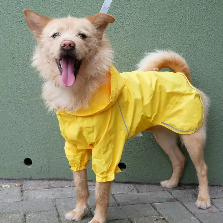 Blueberry Waterproof  Reflective Dog Raincoat with 2 Legs