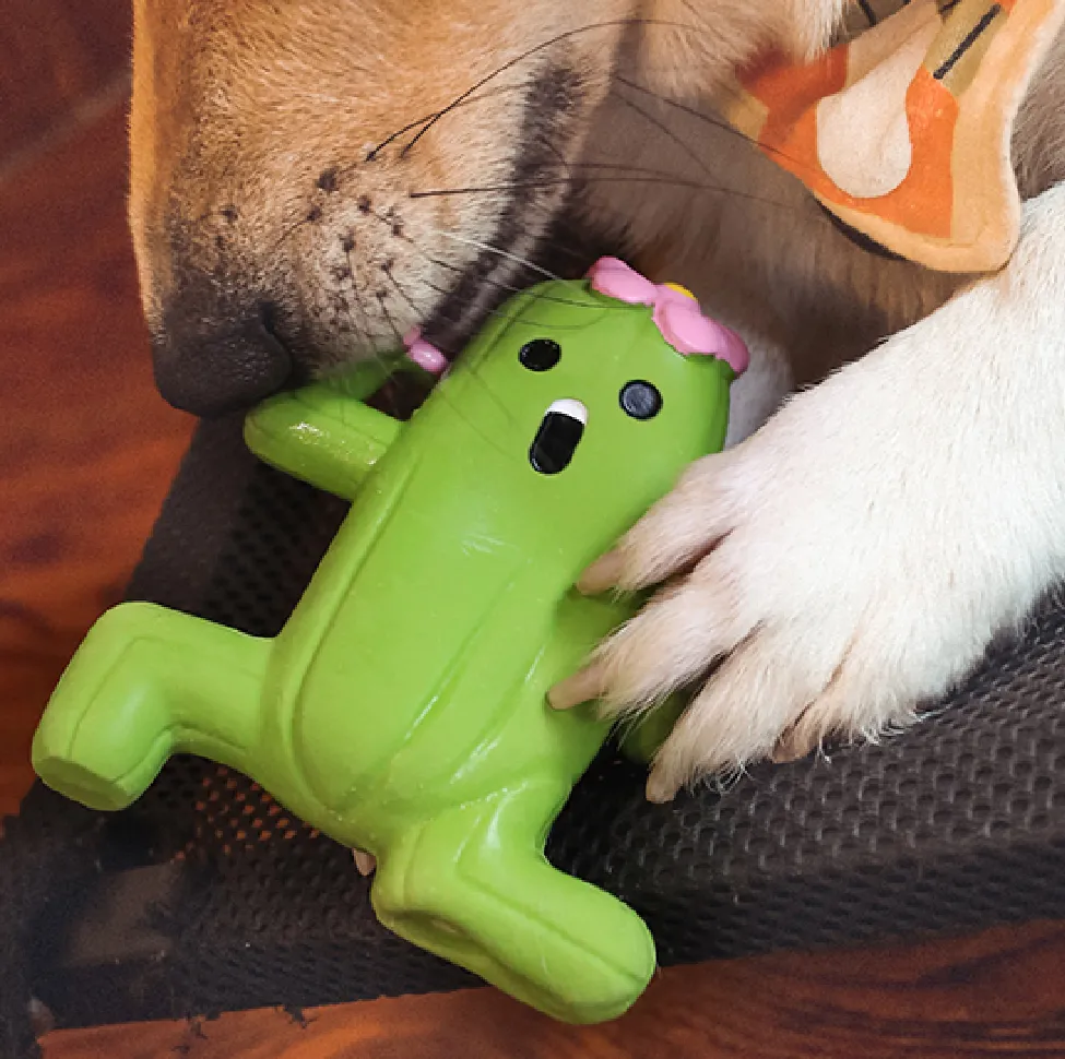 Cactus Latex Dog Toy