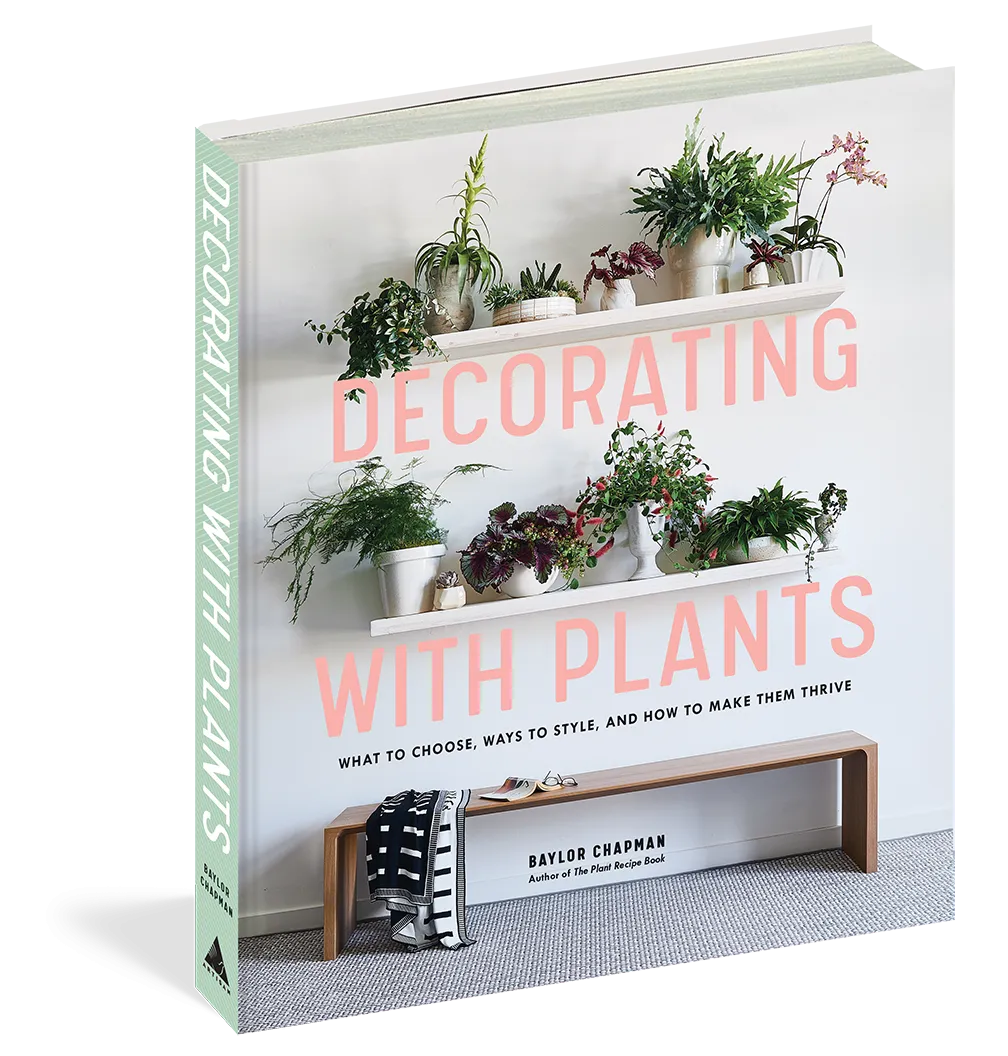 Decorating With Plants