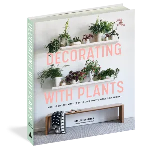 Decorating With Plants