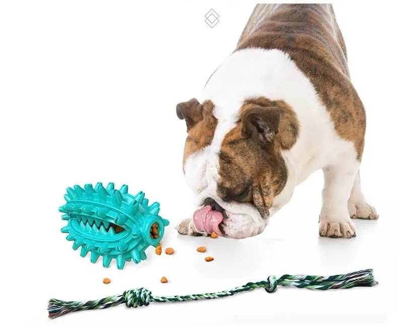 Dog Toothbrush Cactus Chew Toy for Aggressive Chewers Durable Rubber with Rope