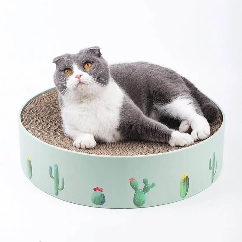 Green Cactus Pattern Cat Paw Scratcher