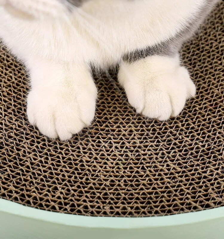 Green Cactus Pattern Cat Paw Scratcher