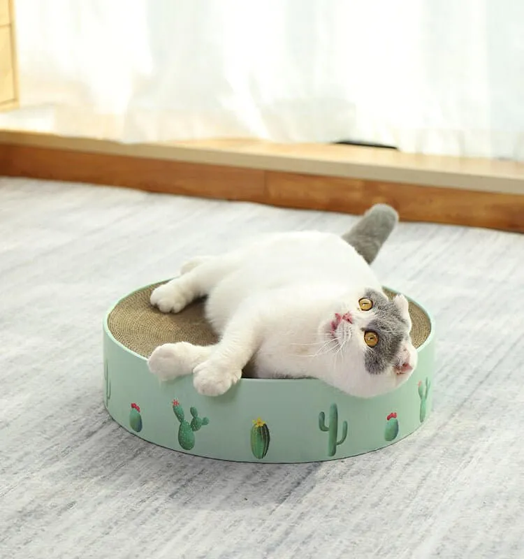 Green Cactus Pattern Cat Paw Scratcher