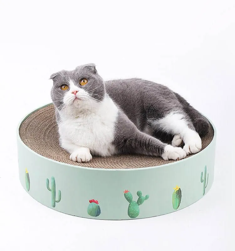 Green Cactus Pattern Cat Paw Scratcher