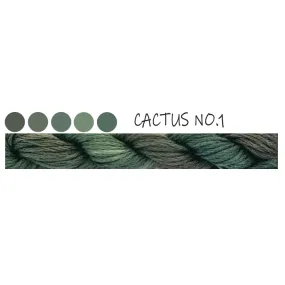 PB05 ~ Cactus