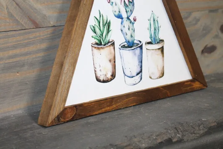 Potted Plants Cactus Desert Triangle Framed Printed Color Handmade Art Decor Wooden Sign Greenhouse Planters