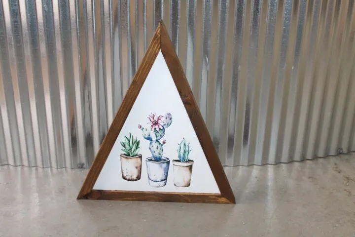 Potted Plants Cactus Desert Triangle Framed Printed Color Handmade Art Decor Wooden Sign Greenhouse Planters