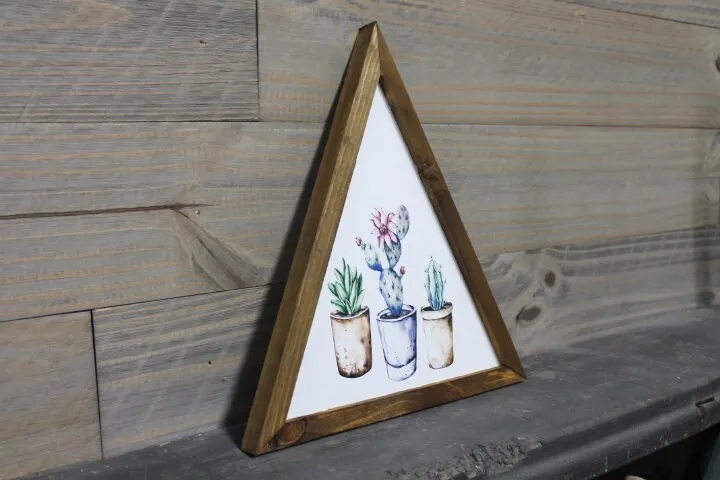 Potted Plants Cactus Desert Triangle Framed Printed Color Handmade Art Decor Wooden Sign Greenhouse Planters