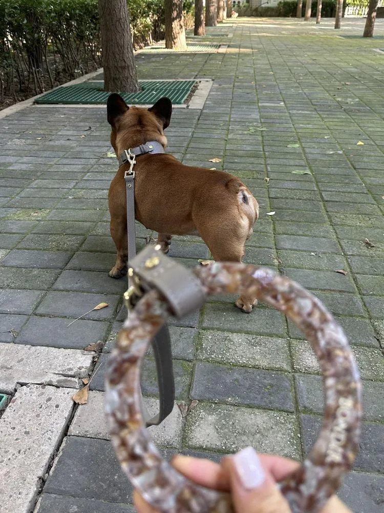 Sand Leather Dog Leash