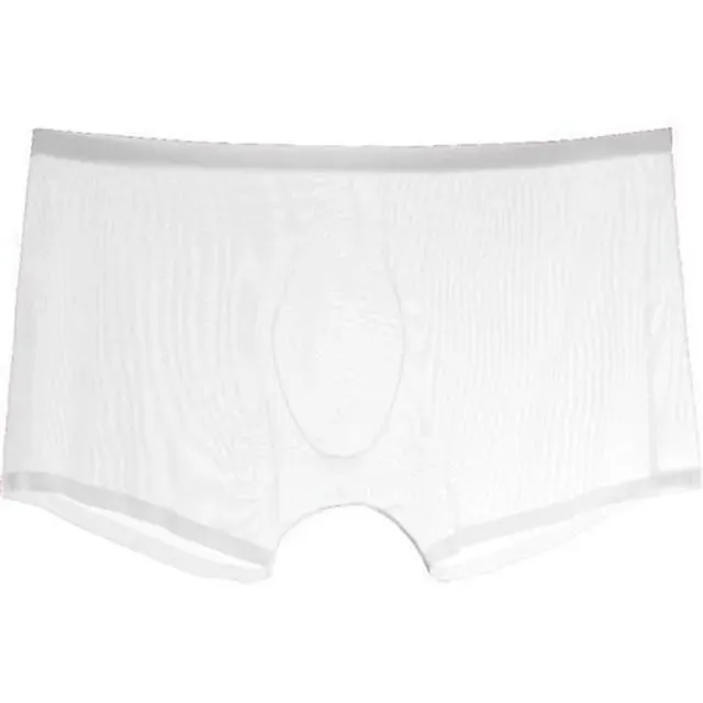 Solid Transparent Nylon Men Boxer