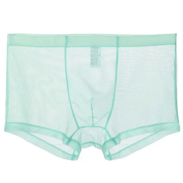 Solid Transparent Nylon Men Boxer